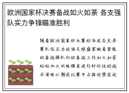 欧洲国家杯决赛备战如火如荼 各支强队实力争锋瞄准胜利