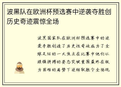 波黑队在欧洲杯预选赛中逆袭夺胜创历史奇迹震惊全场